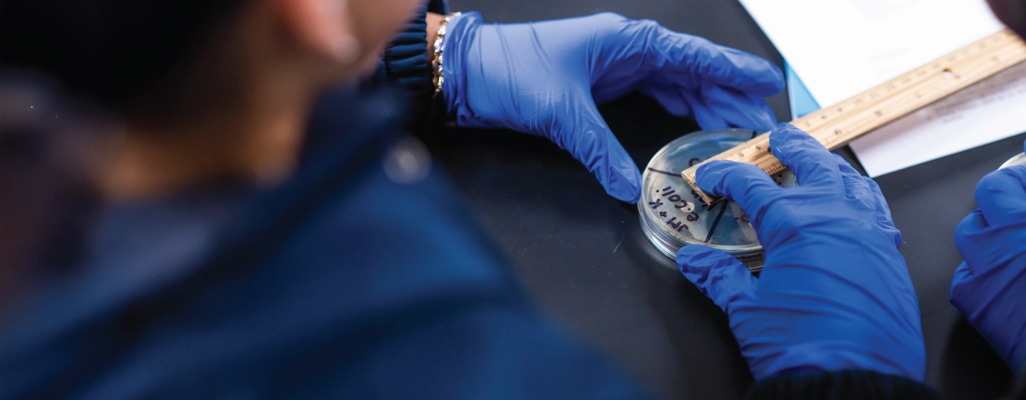 Hands holding an E. coli sample in a biomedical laboratory science lab.